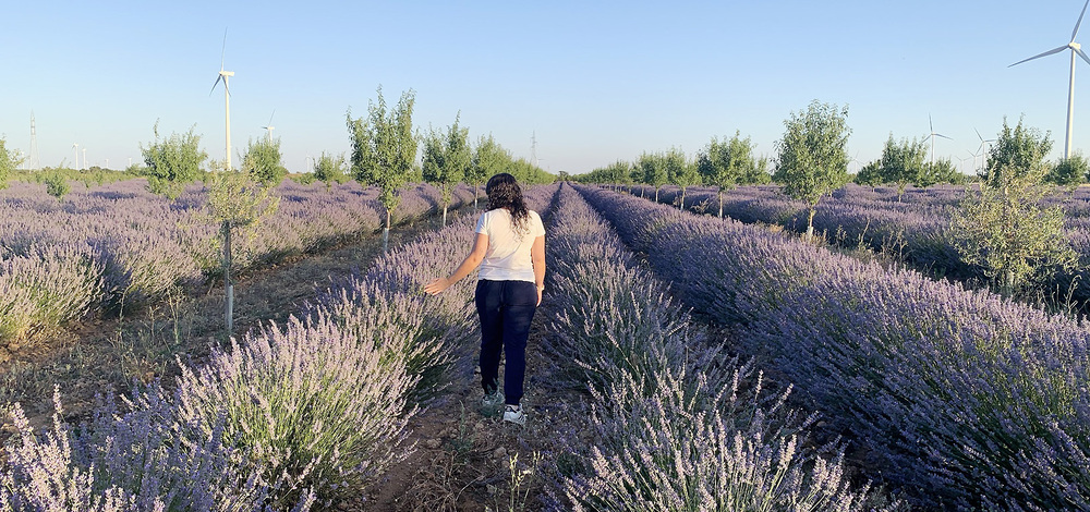 Ampudia, kilómetro cero en Campos del Corredor Biológico