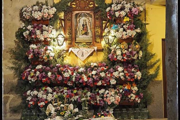 3. Ofrenda Floral