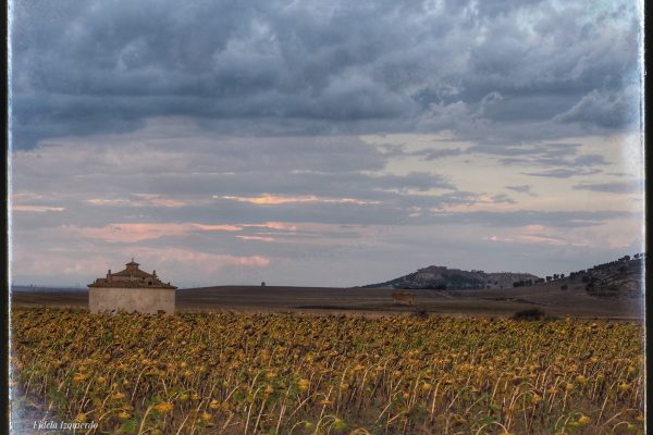 Paisajes de Campo