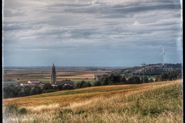 Paisajes de Campo