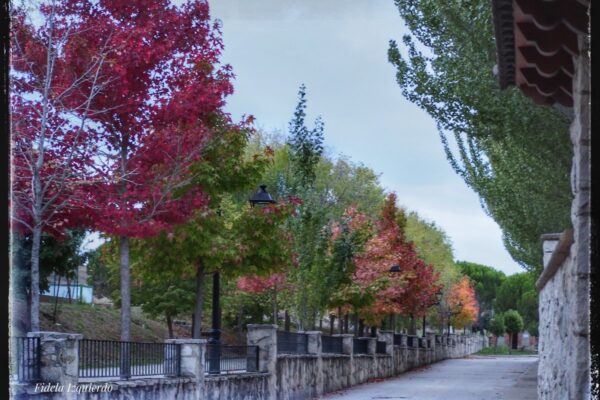 Paseo de San Martín