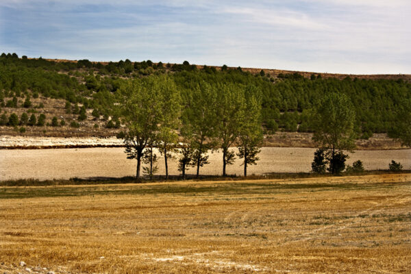 Paisajes de Campo