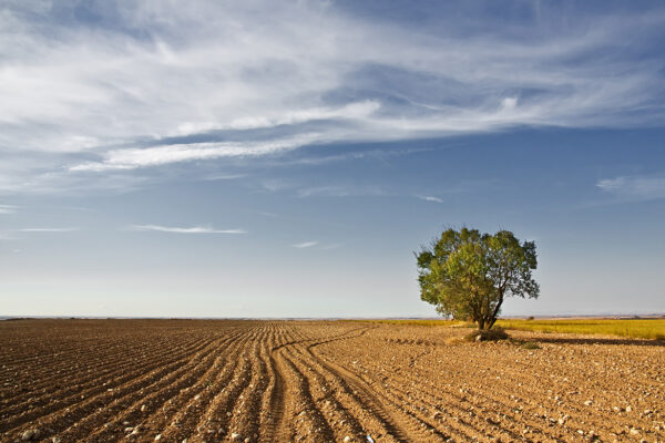 Paisajes de Campo