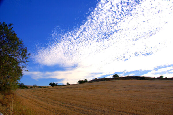 Paisajes de Campo