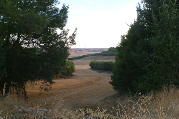 Paisajes de Campo