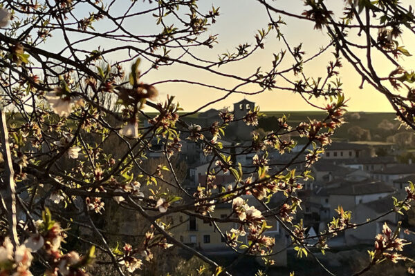 DESDE LA ERMITA DE NUESTRA SEÑORA DE GUADALUPE