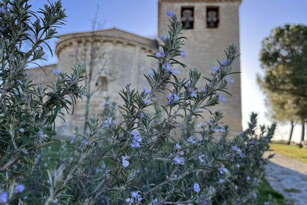 IGLESIA SAN FRUCTUOSO VALORIA