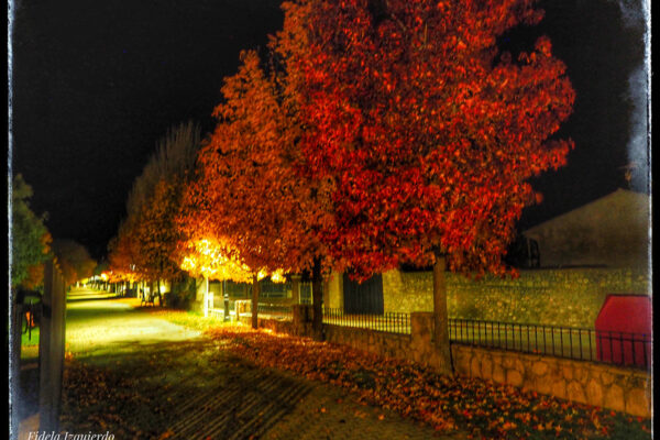 Paseo de San Martín