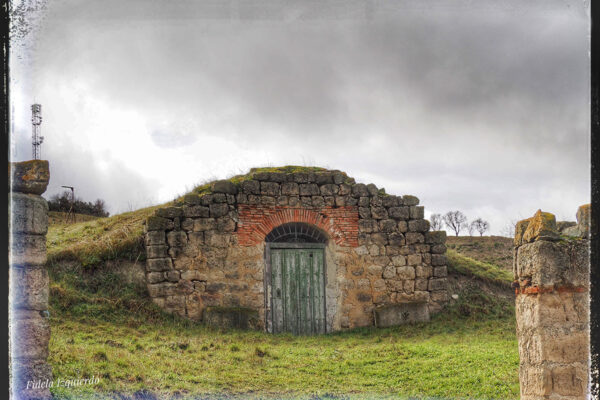 bodegas