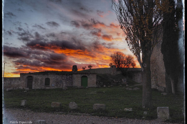 bodegas