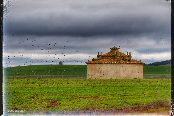 palomares