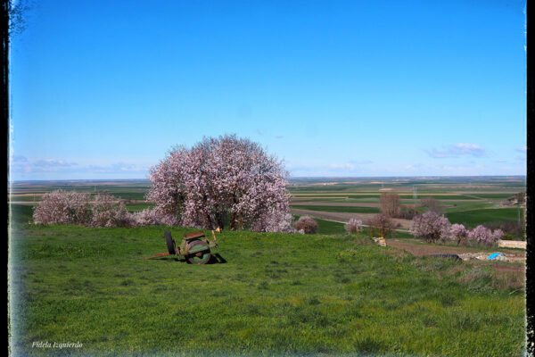 campos de Valoria