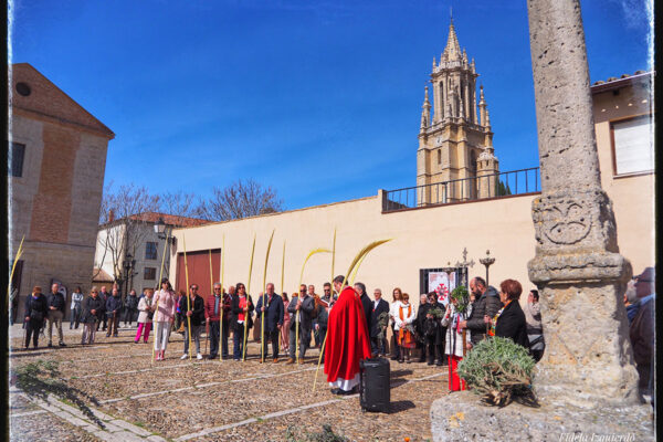 Domingo de Ramos 2024