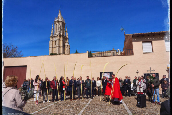 Domingo de Ramos 2024