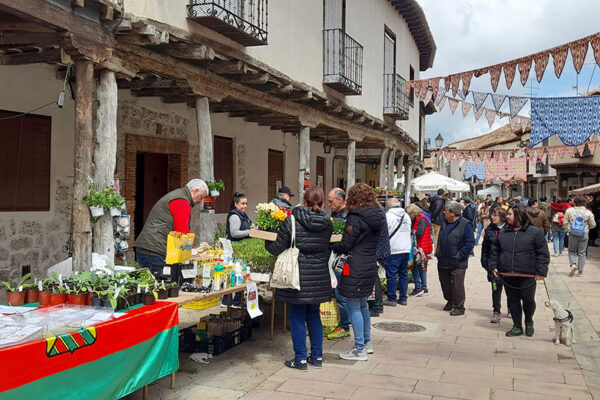 Mercado de la Flor 2024