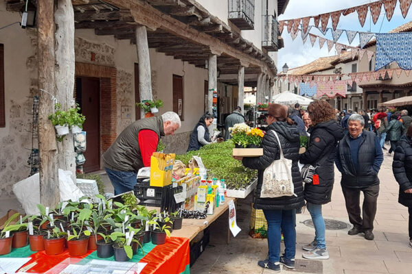 Mercado de la Flor 2024