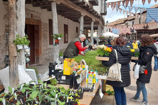 Mercado de la Flor 2024
