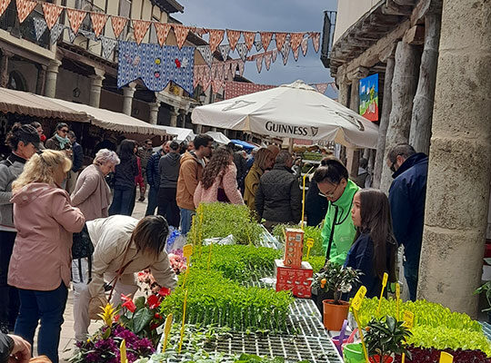 Mercado de la Flor 2024
