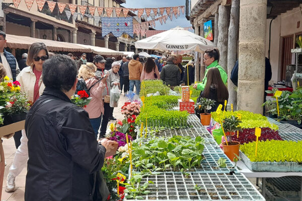 Mercado de la Flor 2024