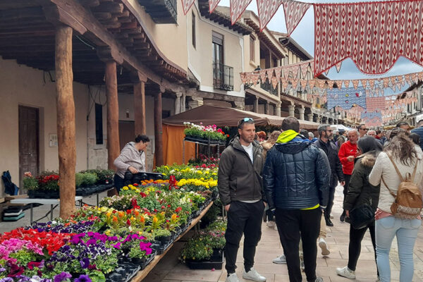 Mercado de la Flor 2024