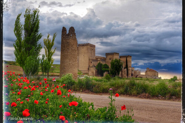 primavera