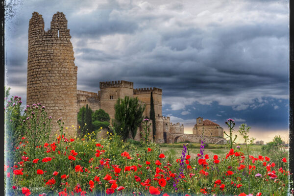 primavera