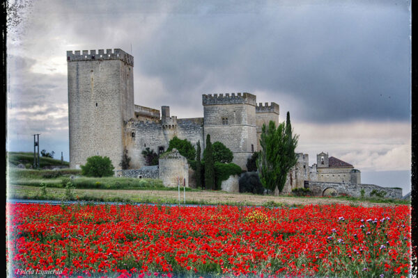primavera