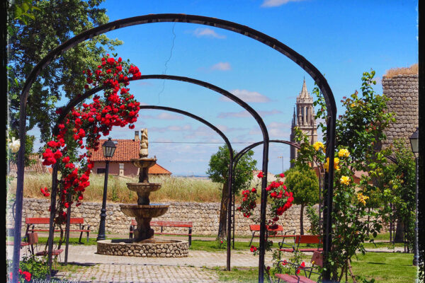 primavera