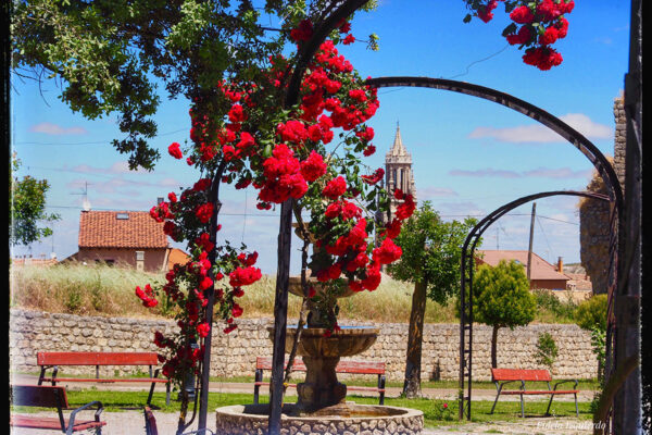primavera