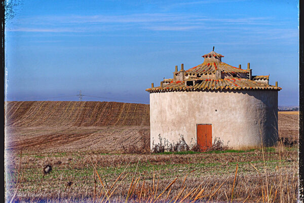 palomares-4