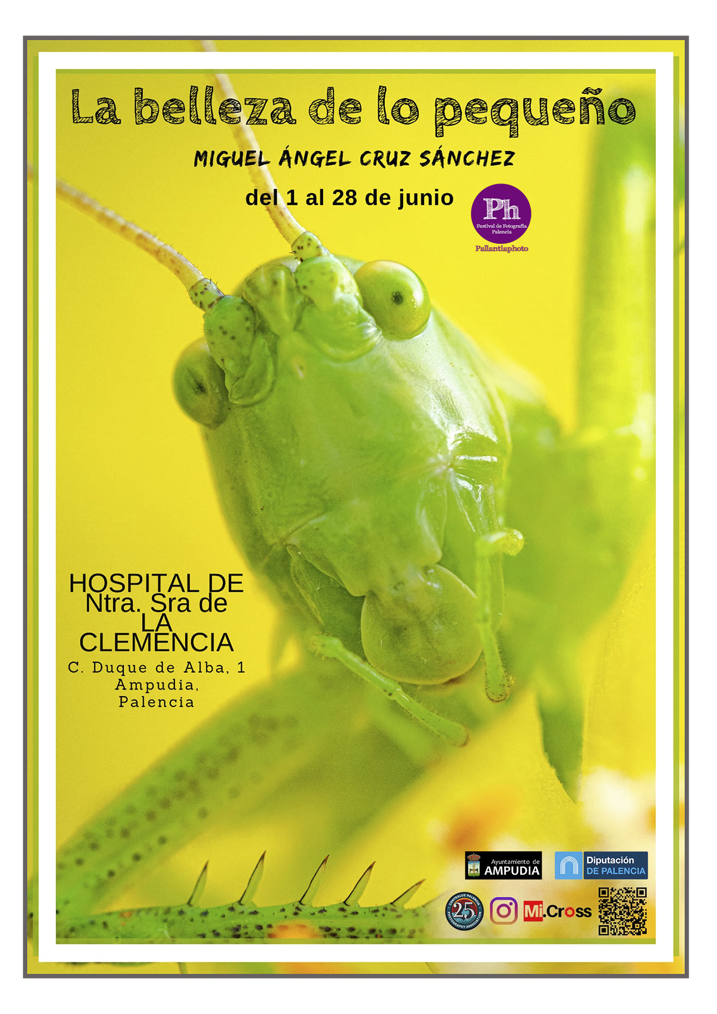 La belleza de lo pequeño